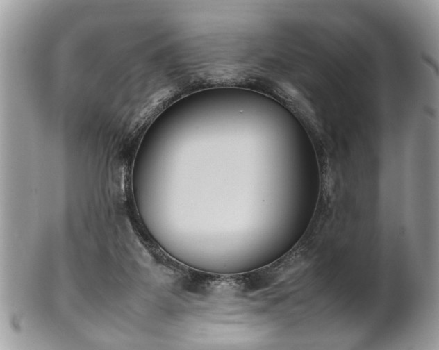 X0000102030115200807251400