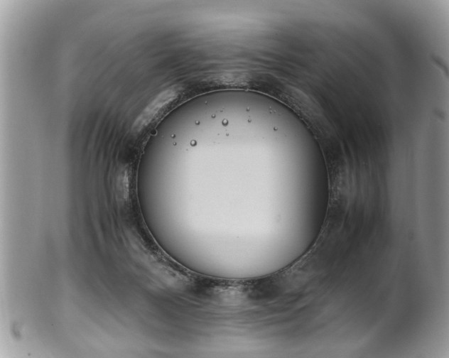 X0000102030120200807251400