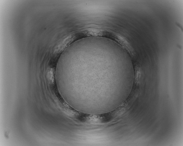 X0000102030121200807251400