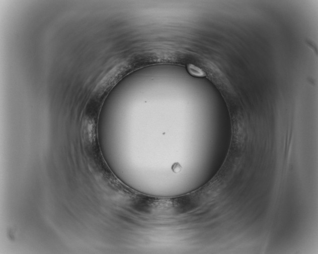 X0000102030123200807251400