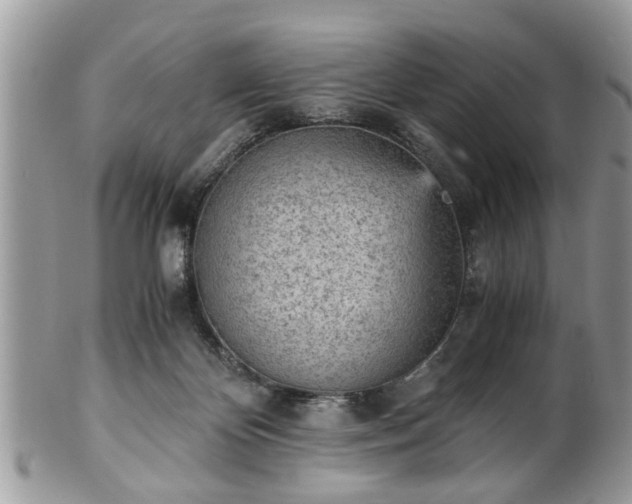 X0000102030124200807251359