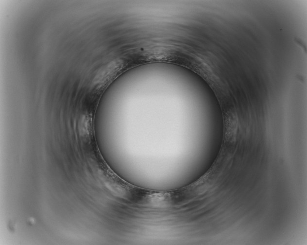 X0000102030126200807251359