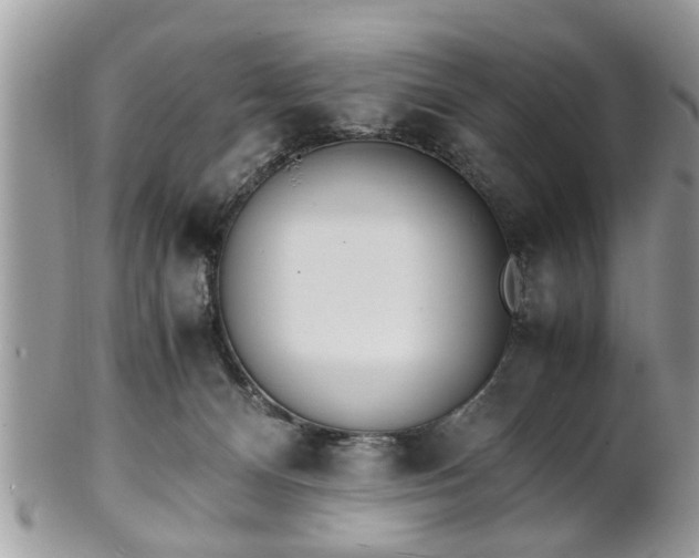 X0000102030128200807251359