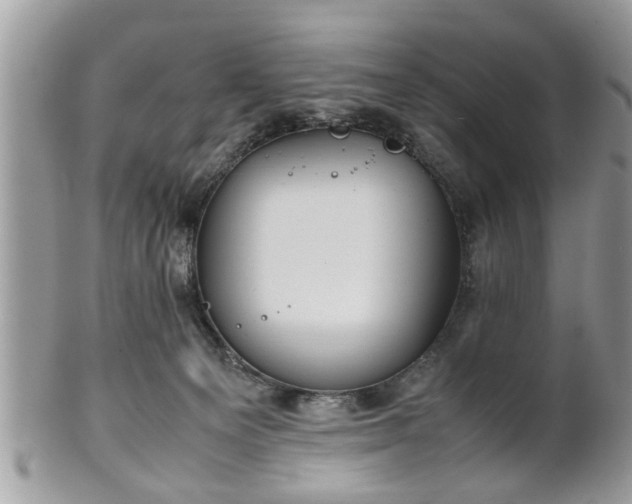 X0000102030129200807251359