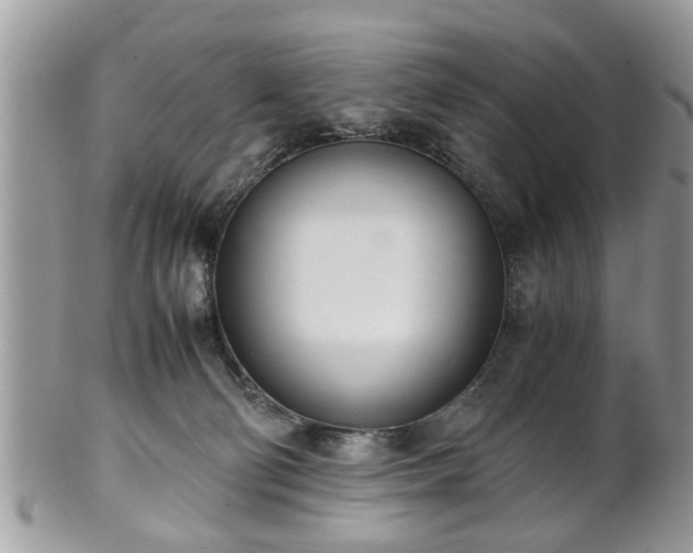 X0000102030130200807251359