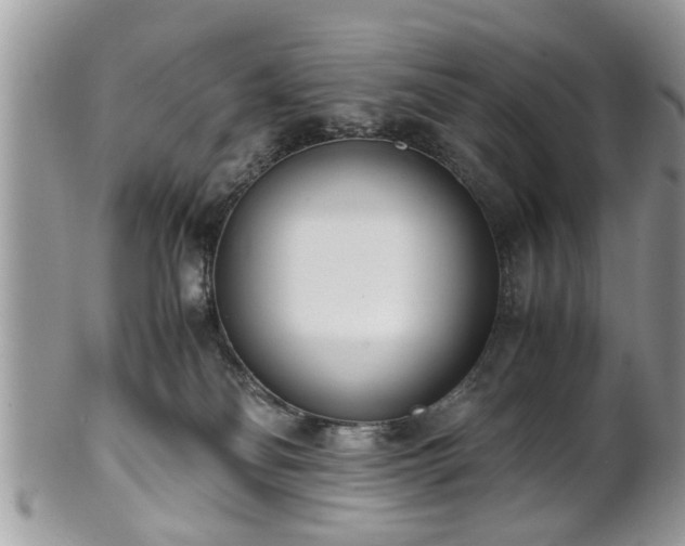 X0000102030134200807251359