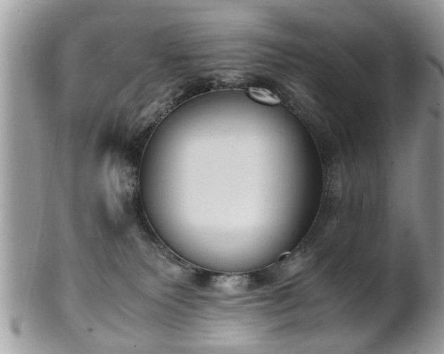 X0000102030135200807251359