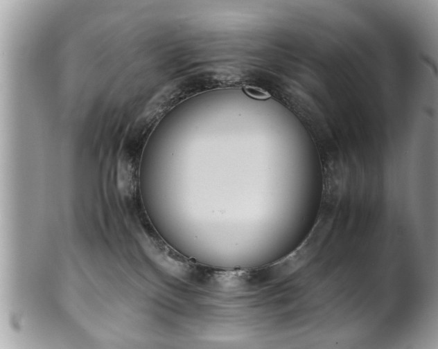 X0000102030136200807251359