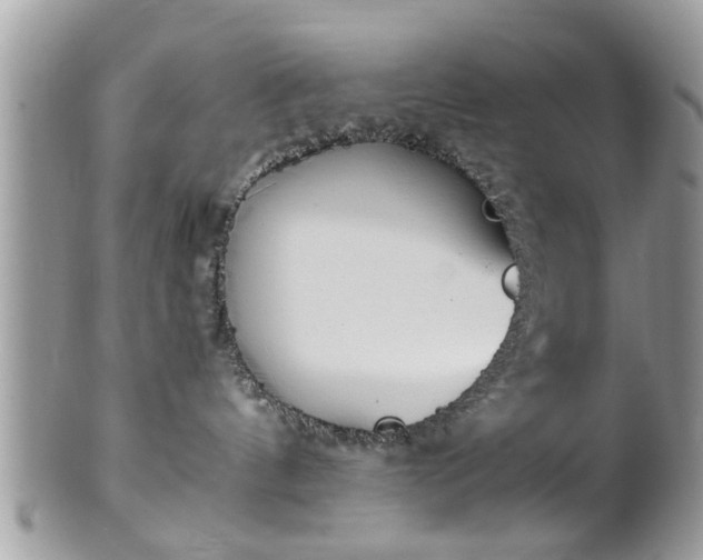 X0000102030144200807251359