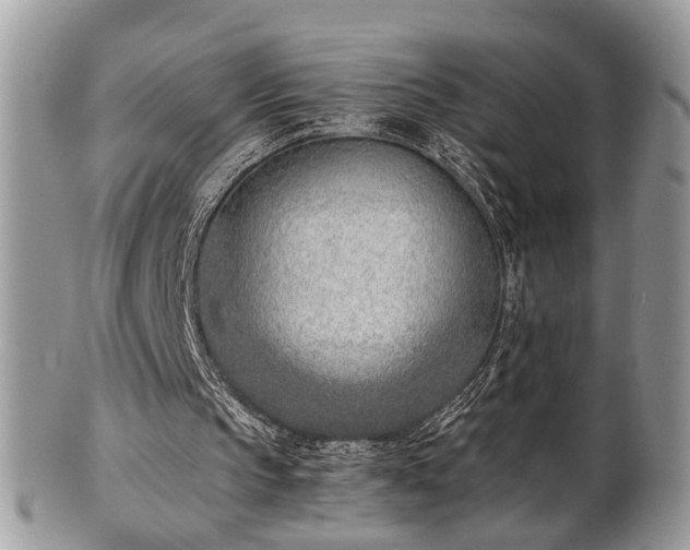 X0000102030145200807251359