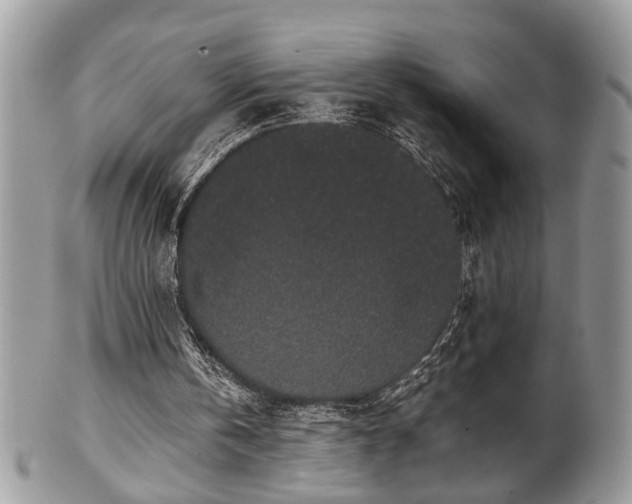 X0000102030146200807251359