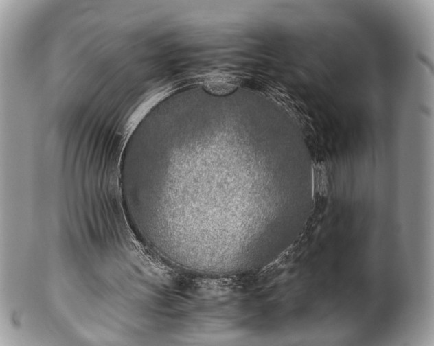 X0000102030147200807251359