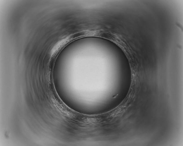 X0000102030149200807251359