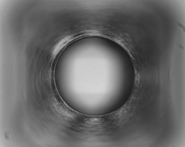 X0000102030151200807251359