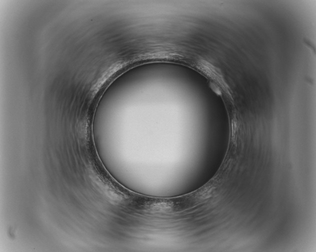 X0000102030156200807251359