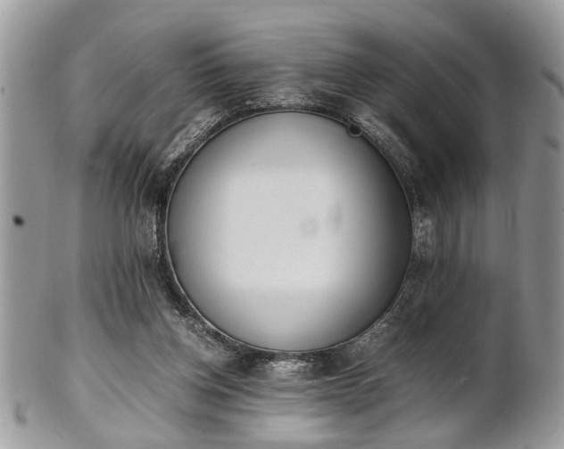 X0000102030158200807251359