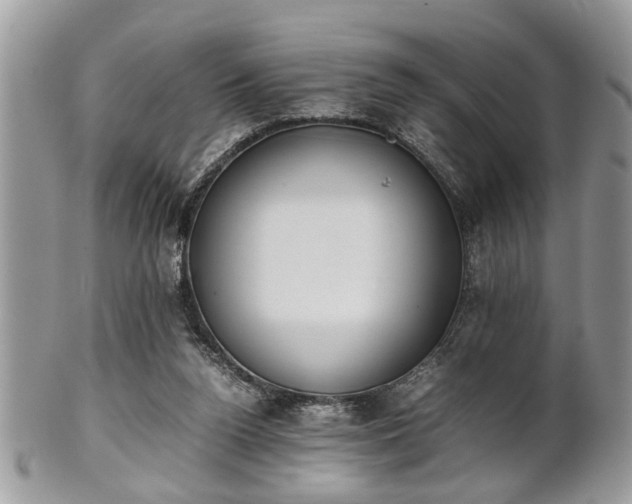 X0000102030160200807251359