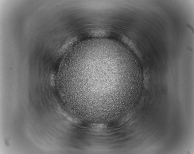 X0000102030161200807251359