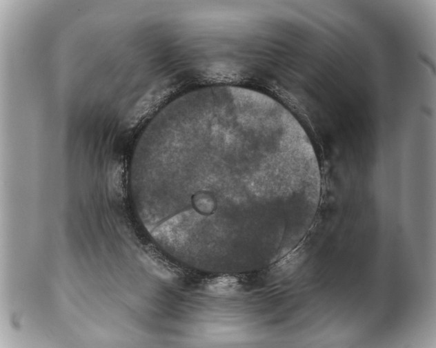 X0000102030162200807251359