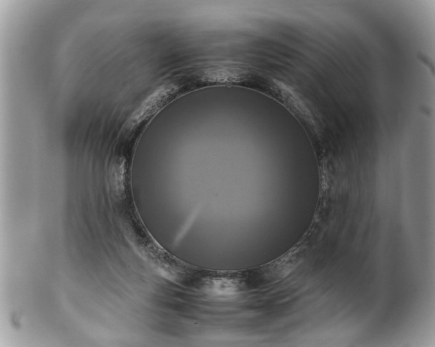 X0000102030163200807251359