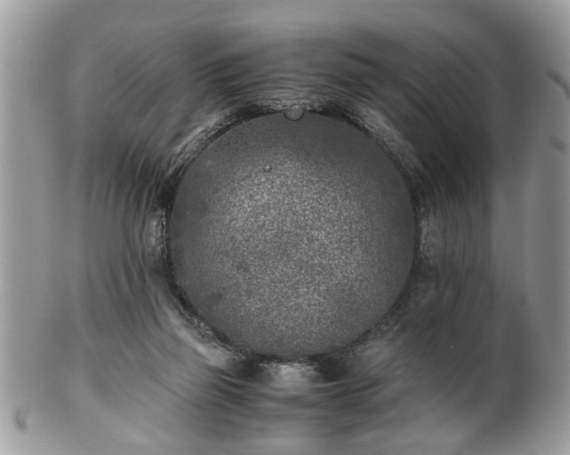 X0000102030165200807251359