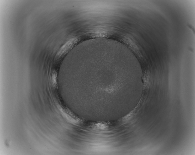 X0000102030166200807251359