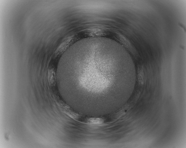 X0000102030169200807251359