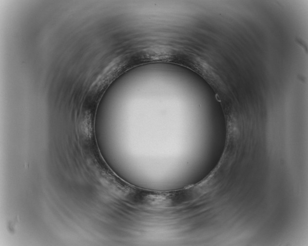 X0000102030170200807251359