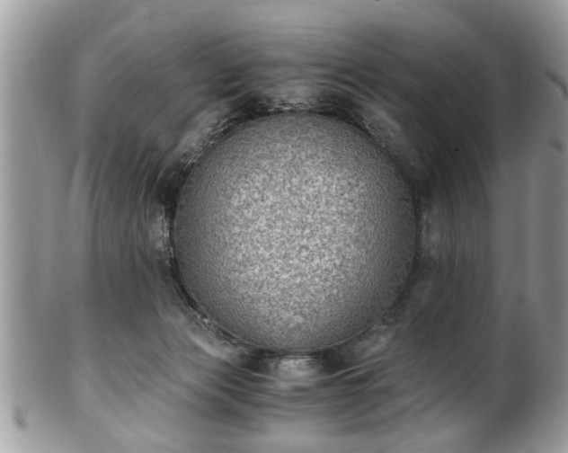 X0000102030173200807251359