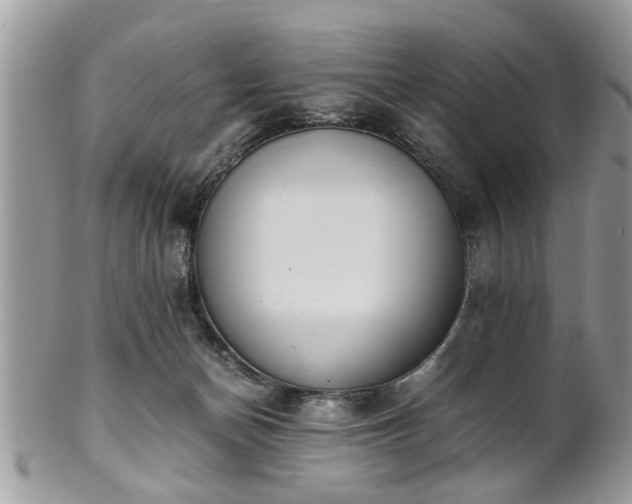 X0000102030174200807251359