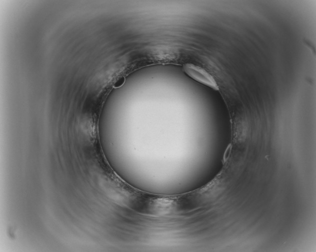 X0000102030176200807251359