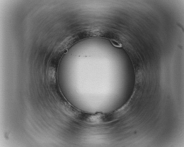 X0000102030178200807251359