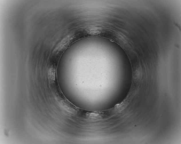 X0000102030180200807251359