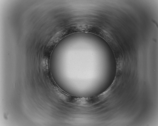 X0000102030182200807251359