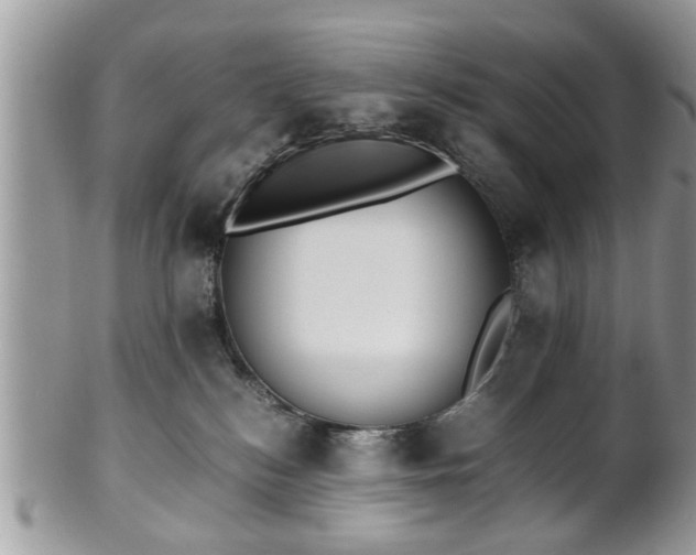 X0000102030184200807251359