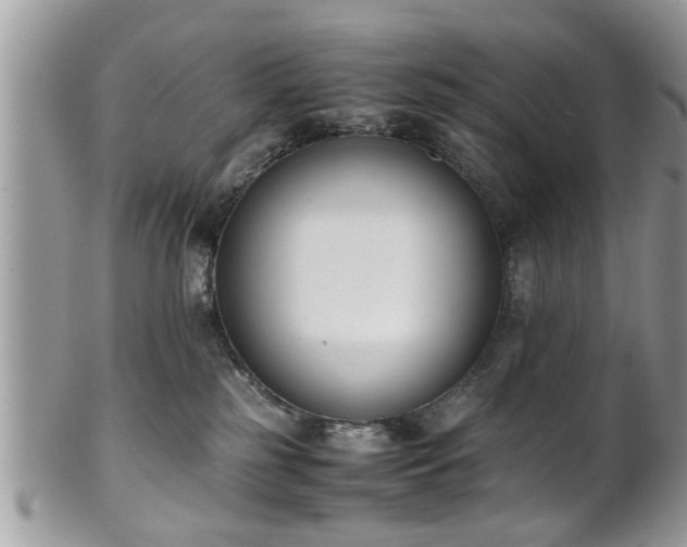 X0000102030185200807251359