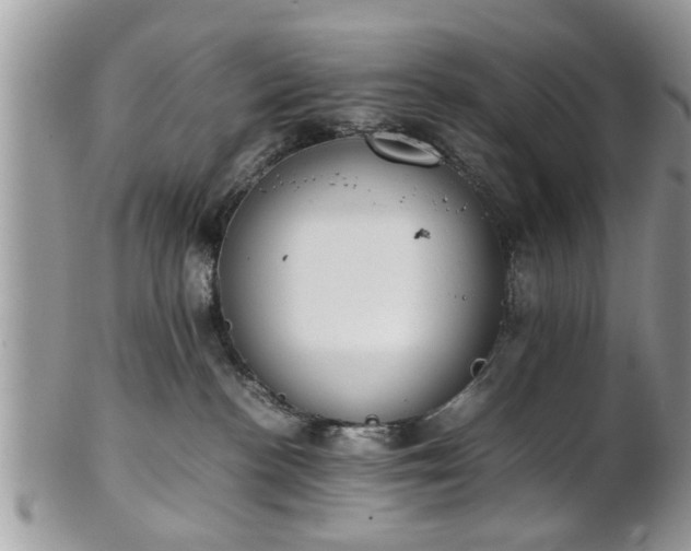 X0000102030188200807251359