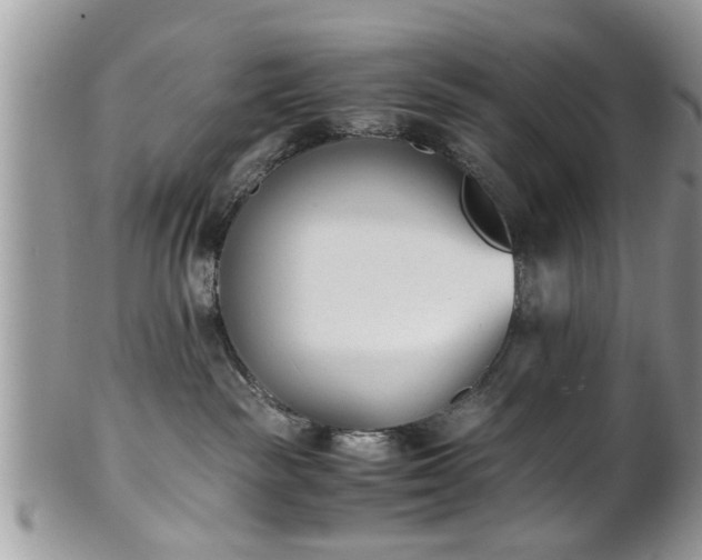 X0000102030189200807251359