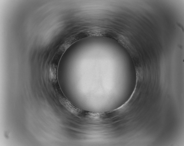 X0000102030190200807251359