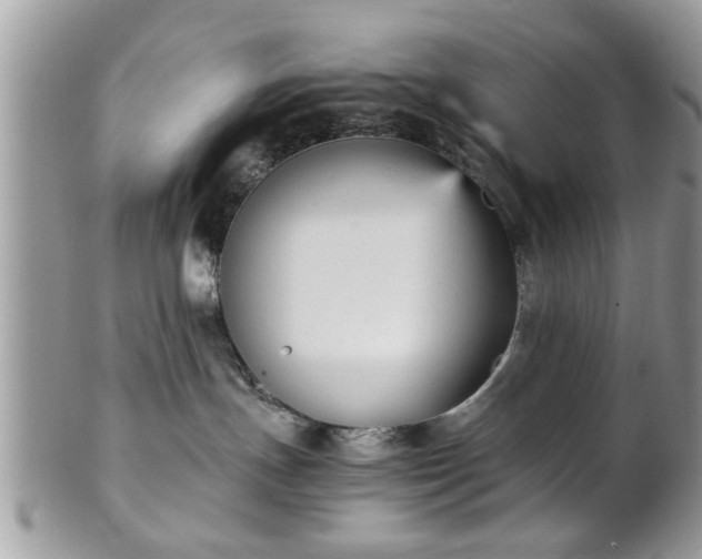 X0000102030191200807251359