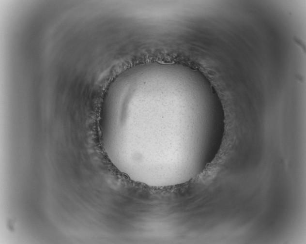 X0000102030192200807251359