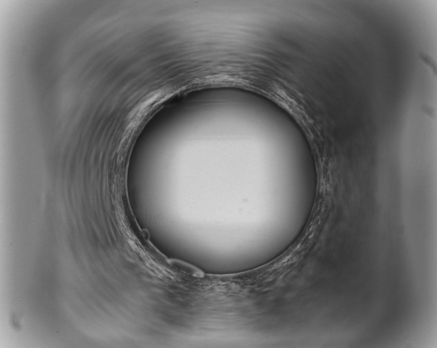 X0000102030193200807251359