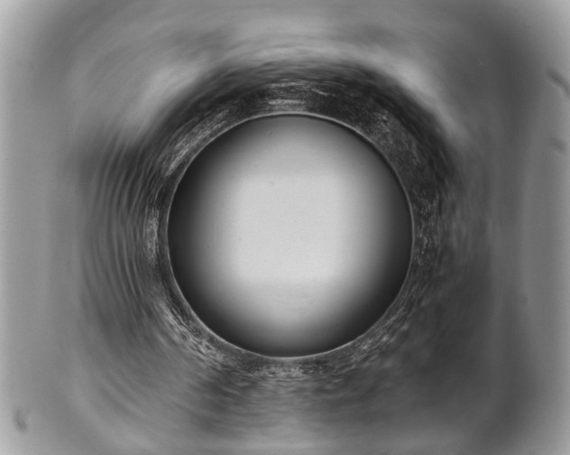 X0000102030194200807251359