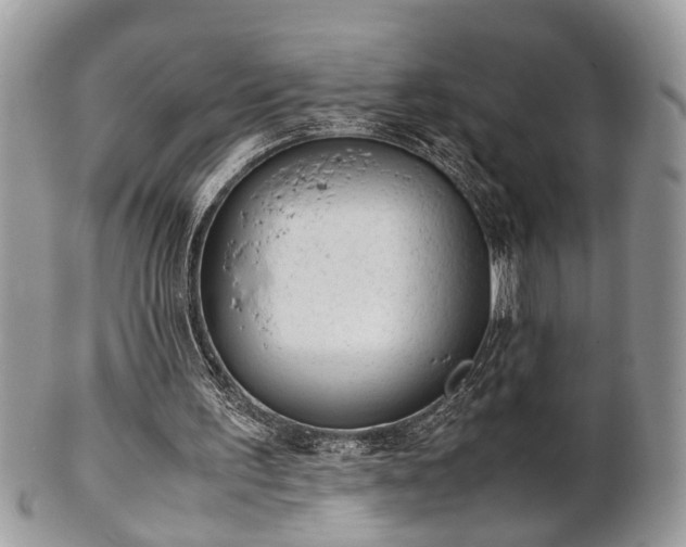 X0000102030195200807251359