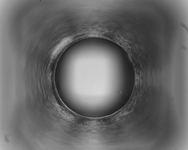 X0000102030197200807251358