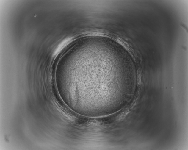 X0000102030199200807251358