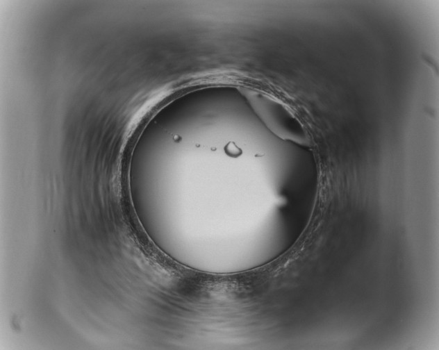 X0000102030200200807251358