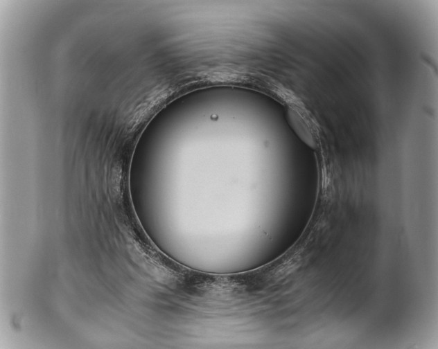 X0000102030201200807251358