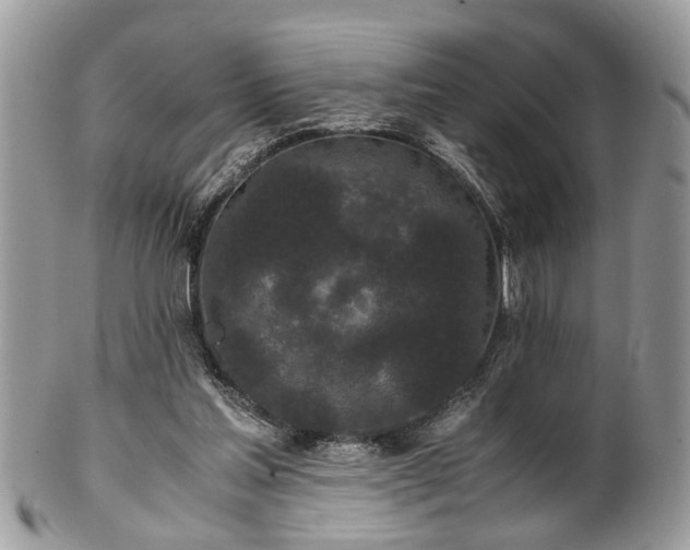 X0000102030205200807251358