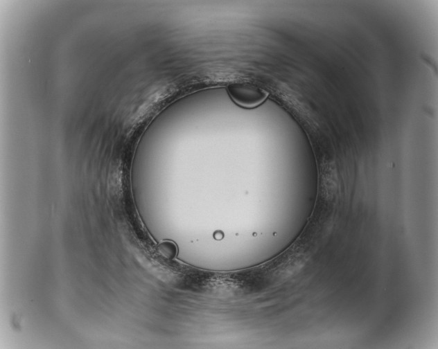 X0000102030207200807251358